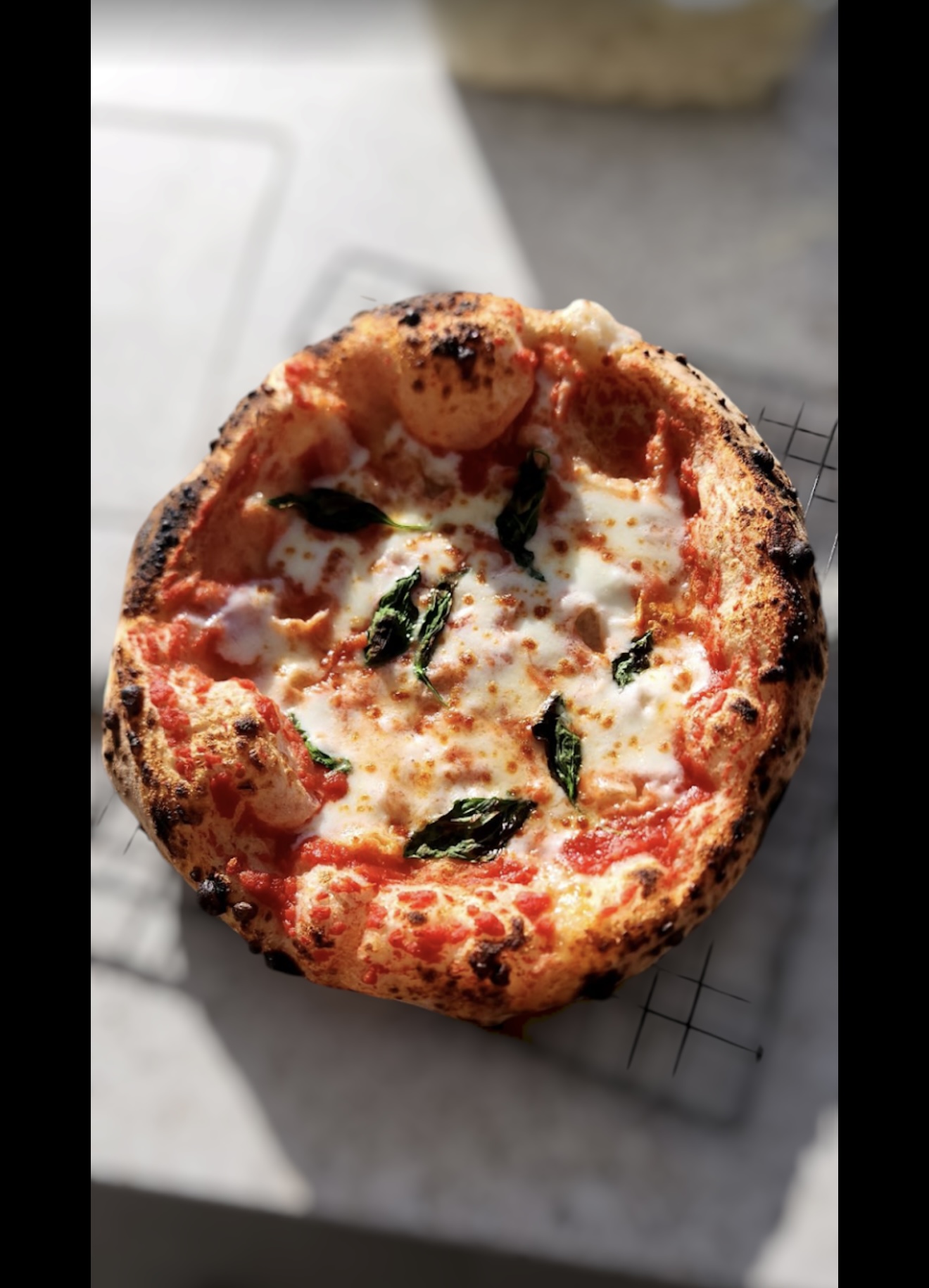 פיצה מרגריטה נאפוליטנית בטאבון עצים של תאתו פיצה